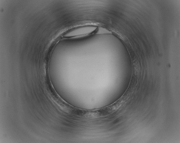 X0000072970350200608211327