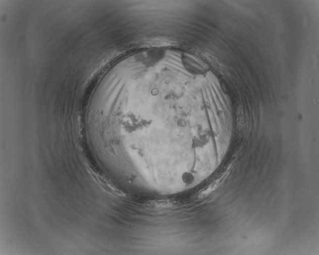 X0000072970351200608211327