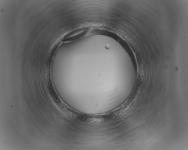 X0000072970352200608211327