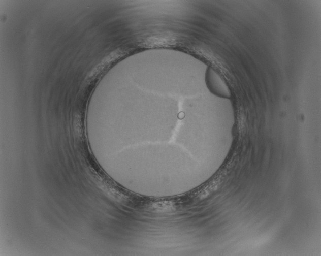 X0000072970353200608211327