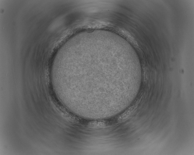 X0000072970354200608211327