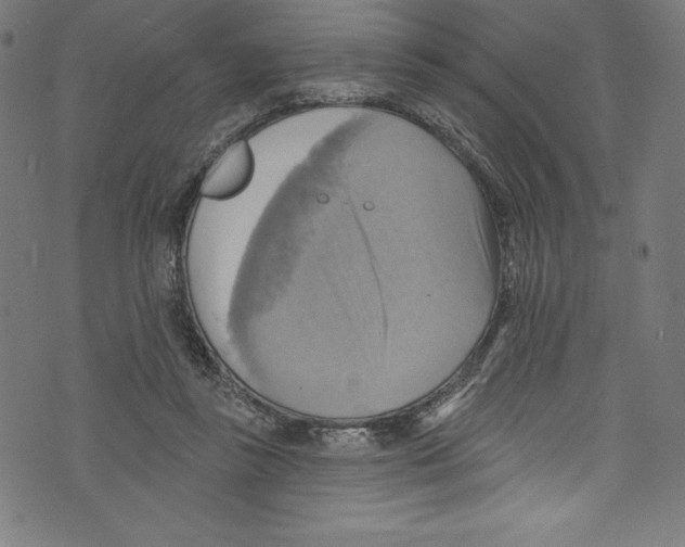 X0000072970355200608211327