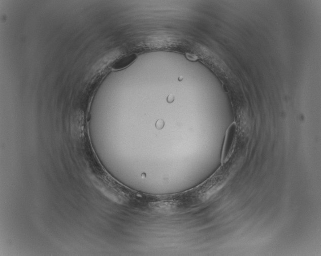 X0000072970356200608211327