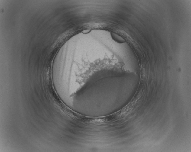 X0000072970357200608211327