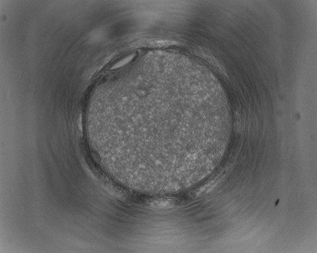 X0000072970358200608211327