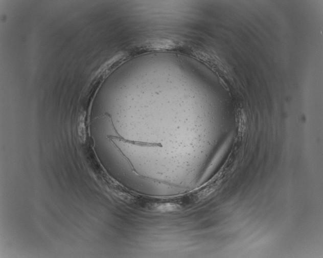 X0000072970360200608211327