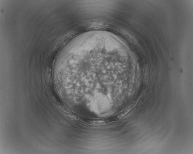 X0000072970361200608211328