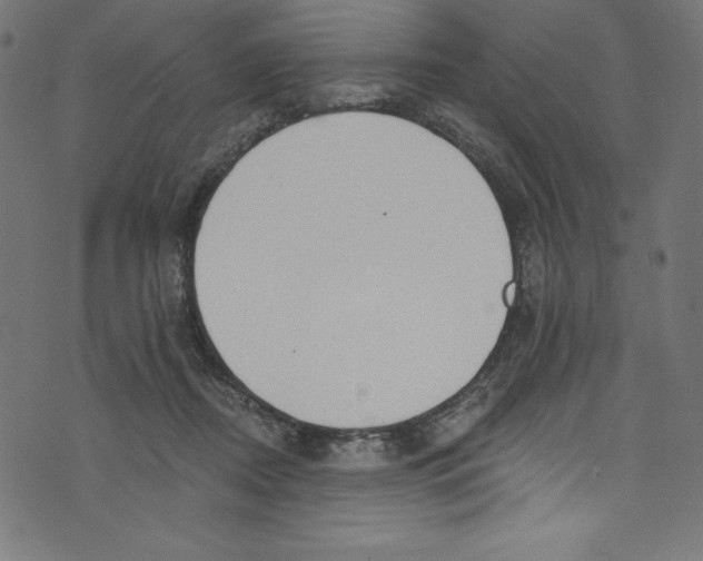 X0000072970362200608211328