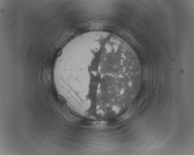 X0000072970363200608211328