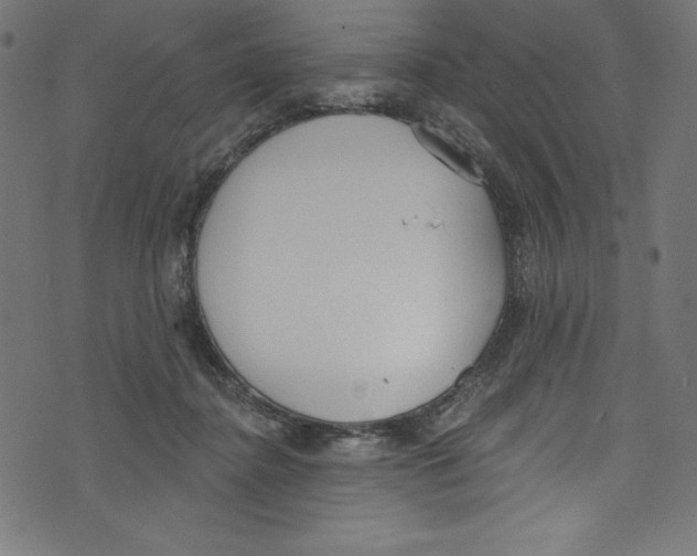 X0000072970364200608211328