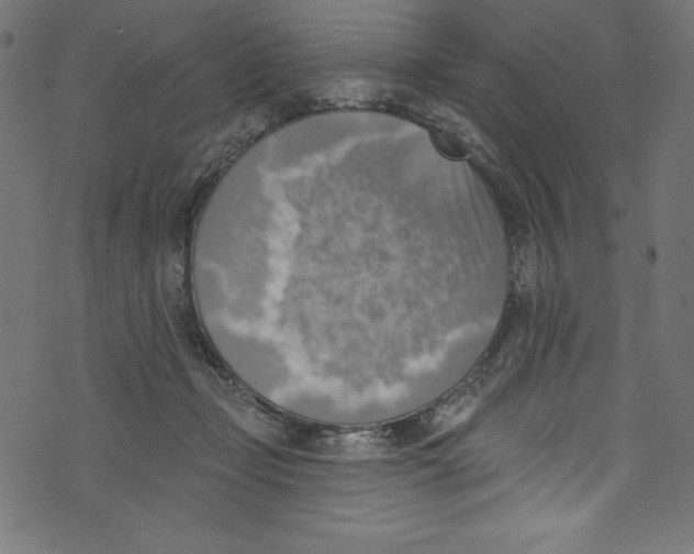 X0000072970365200608211328