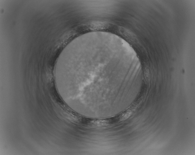 X0000072970367200608211328