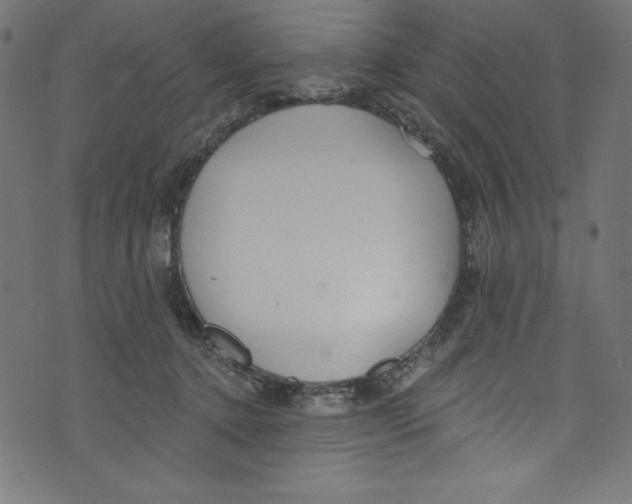 X0000072970368200608211328