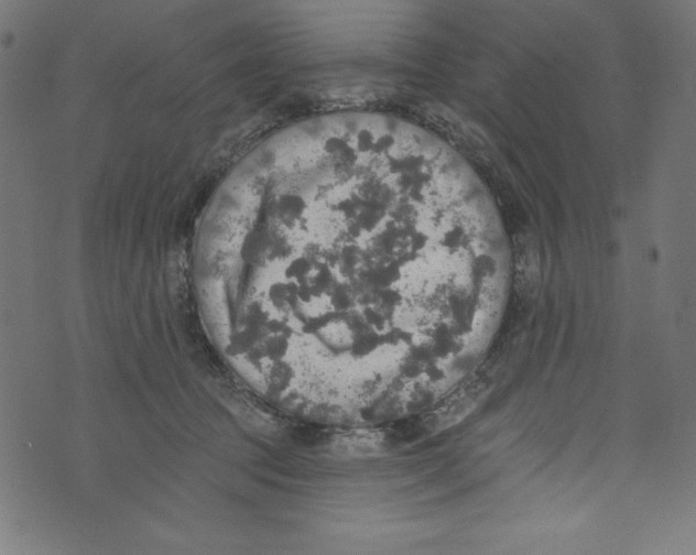 X0000072970369200608211328