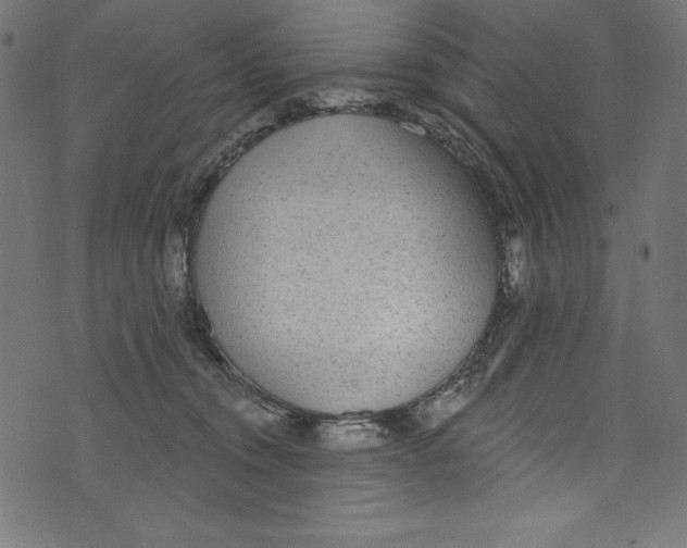 X0000072970372200608211328