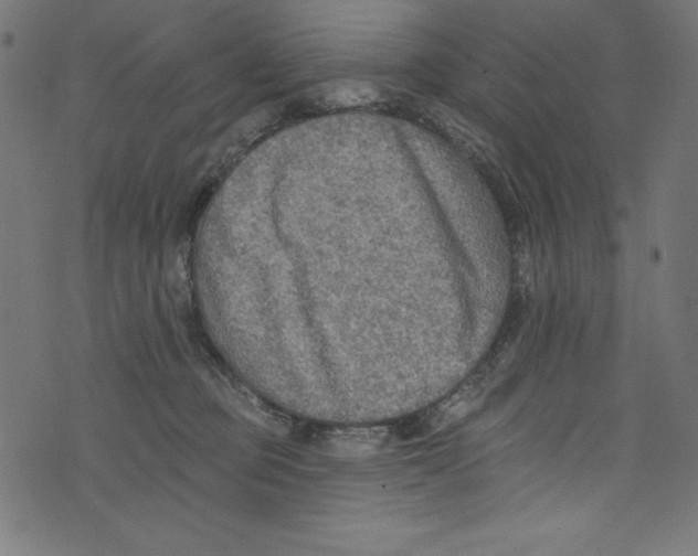 X0000072970373200608211328