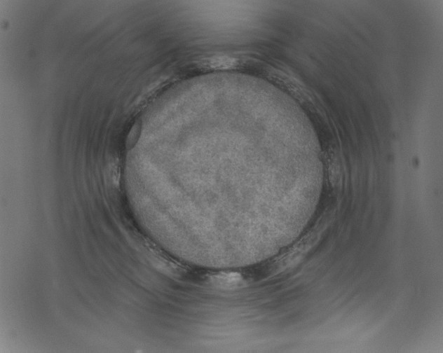 X0000072970374200608211328