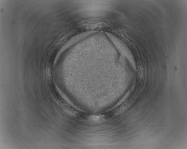 X0000072970375200608211328