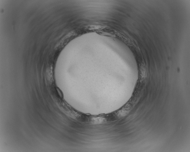 X0000072970376200608211328