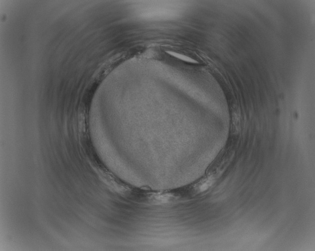 X0000072970379200608211328