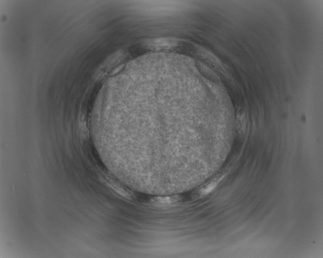 X0000072970381200608211328