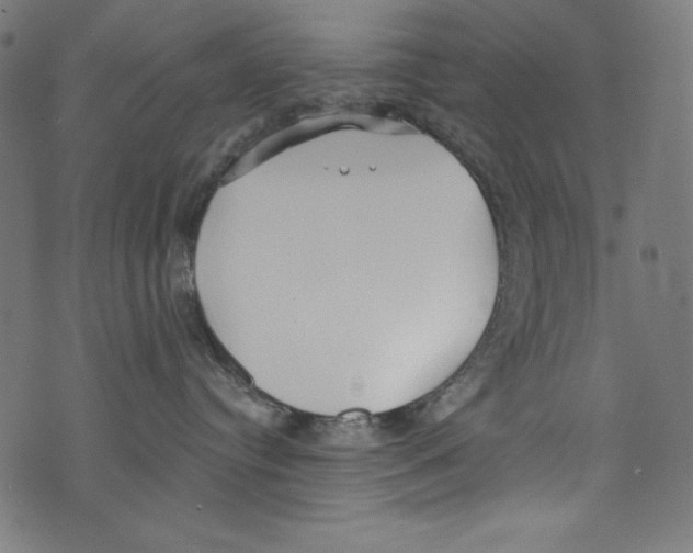 X0000072970384200608211328