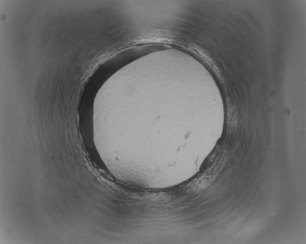 X0000072970385200608211327