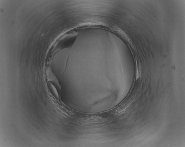 X0000072970387200608211327