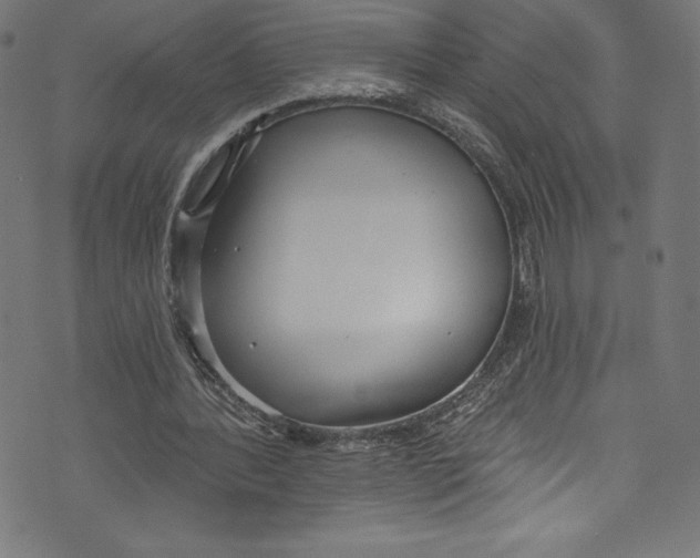 X0000072970388200608211327