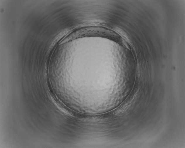 X0000072970389200608211327