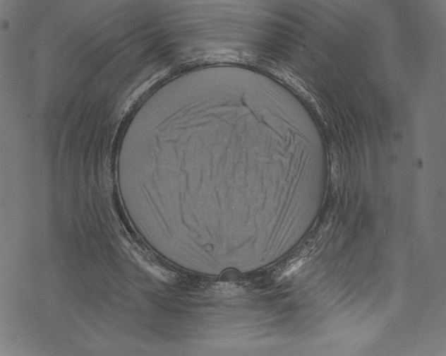 X0000072970390200608211327