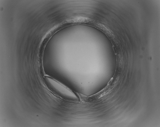 X0000072970392200608211327