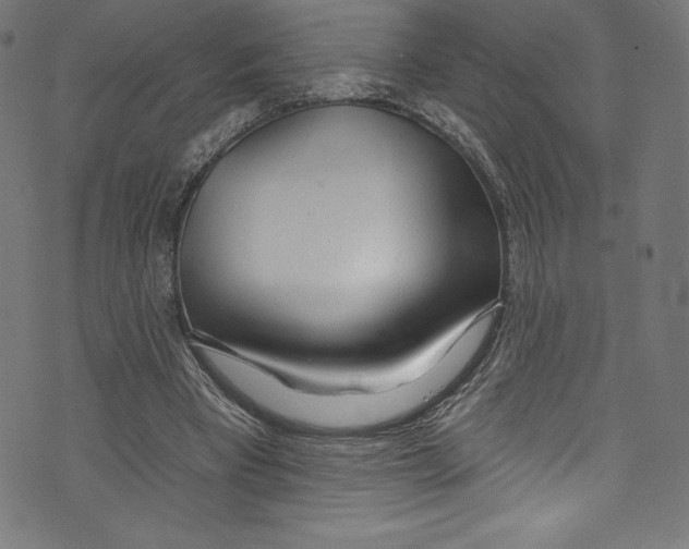 X0000072970393200608211327