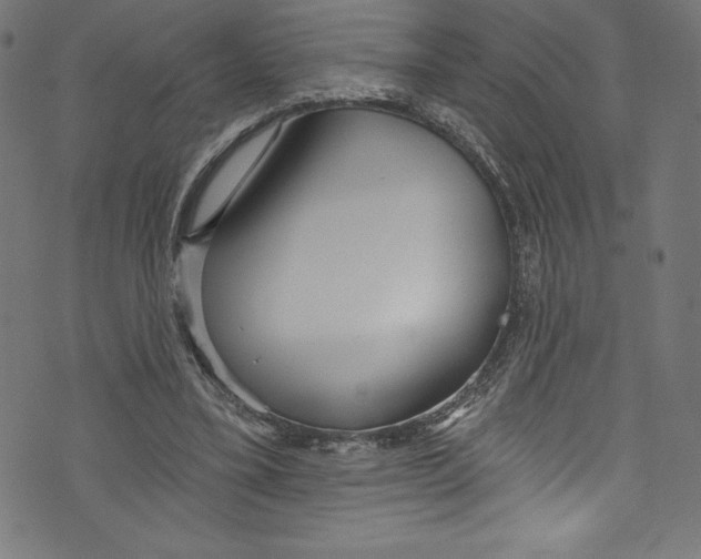 X0000072970395200608211327