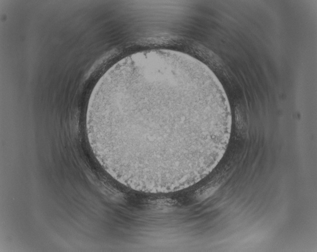 X0000072970396200608211327