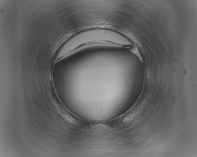 X0000072970397200608211327