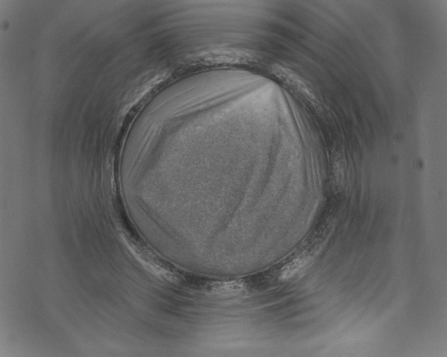 X0000072970398200608211327