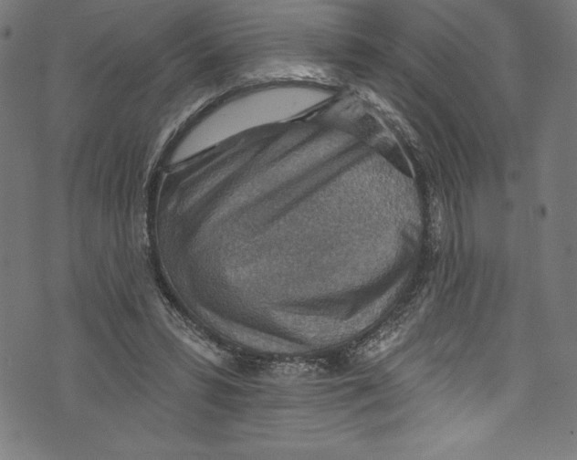 X0000072970399200608211327