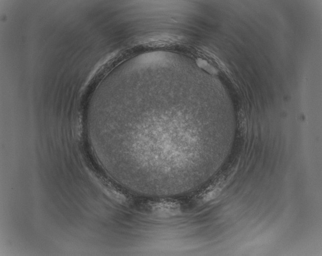 X0000072970400200608211327