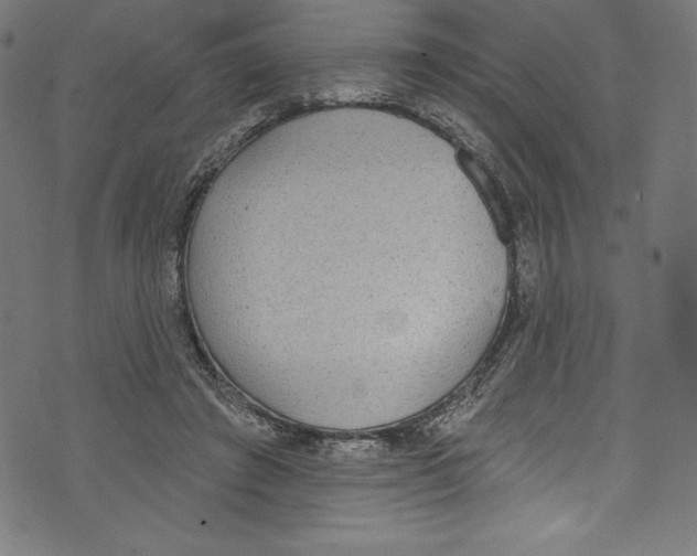 X0000072970401200608211327