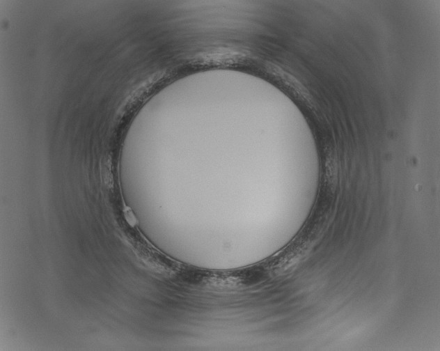 X0000072970403200608211327