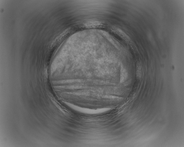 X0000072970405200608211327