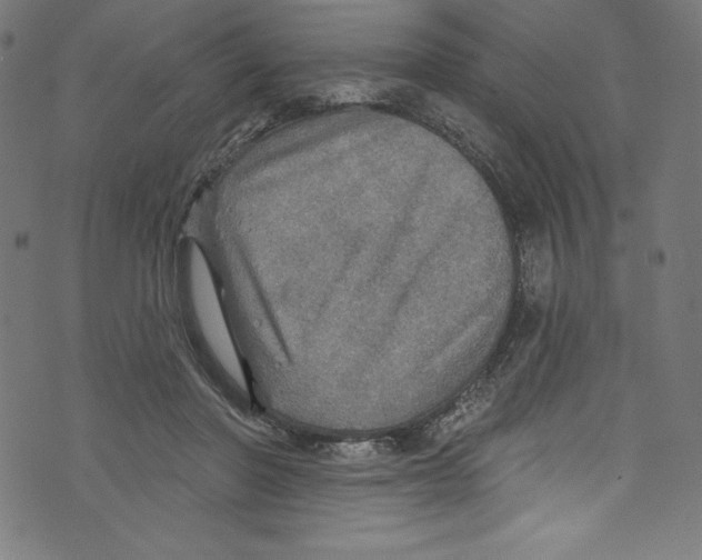 X0000072970406200608211327