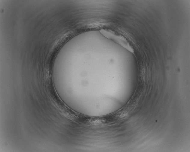 X0000072970407200608211327