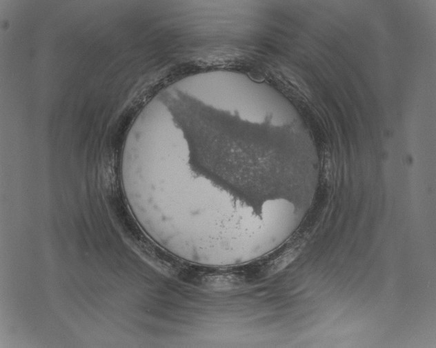 X0000072970408200608211327