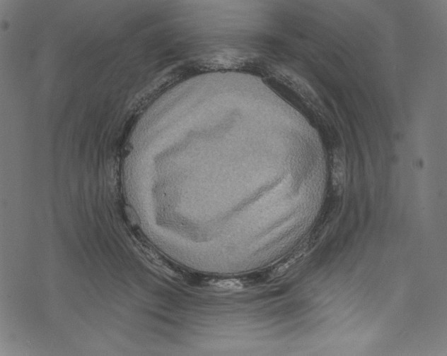 X0000072970409200608211327