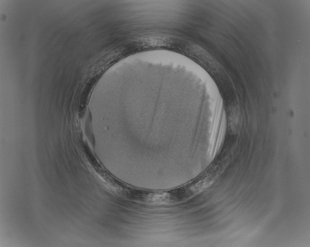 X0000072970410200608211327