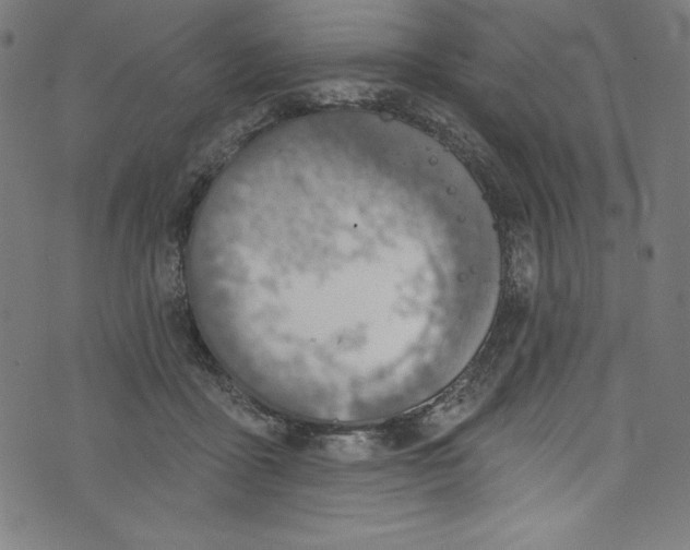 X0000072970411200608211327