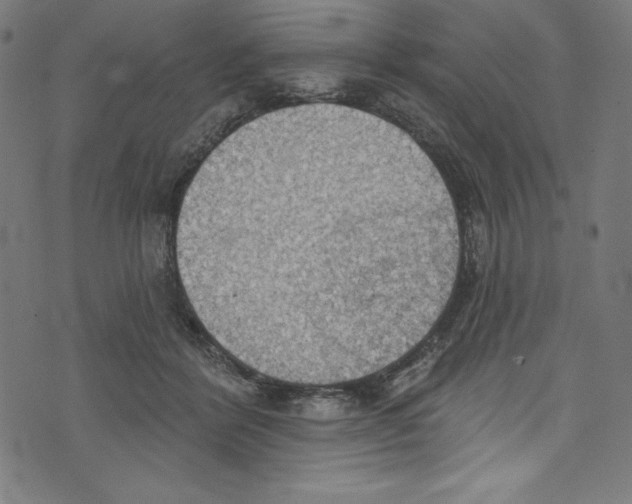 X0000072970412200608211327