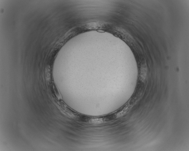 X0000072970413200608211327